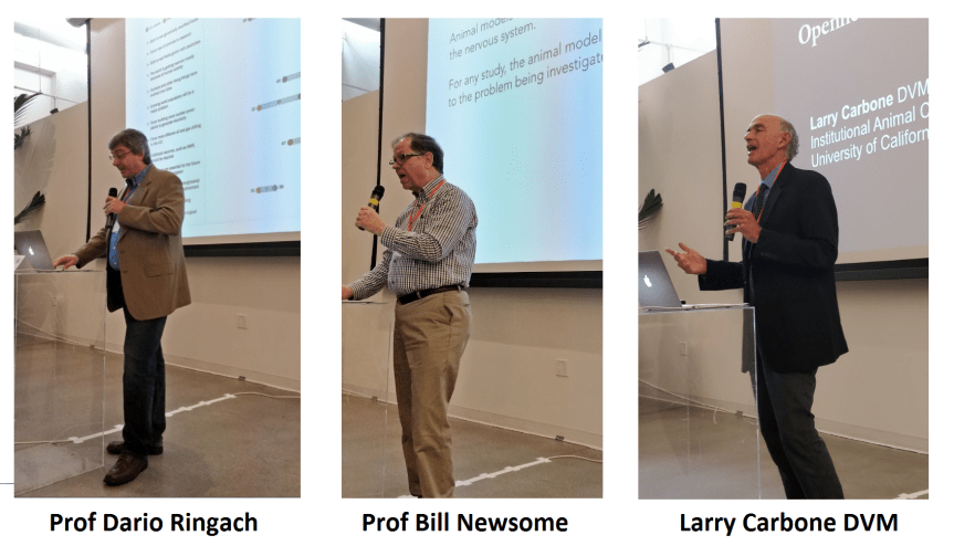 Image by Speaking of Research