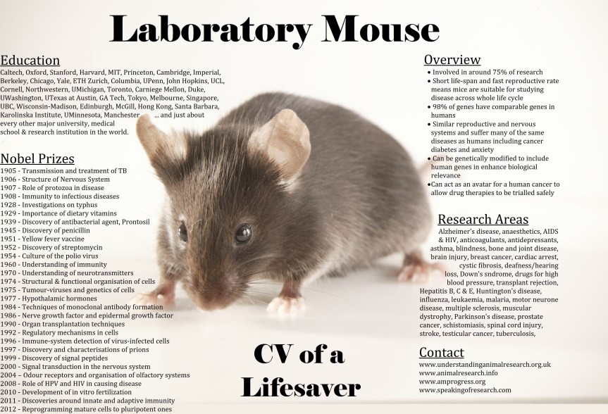 Mouse CV