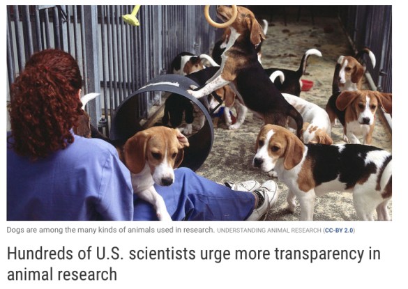 Screenshot of Safari (6-26-18, 8-42-47 AM)