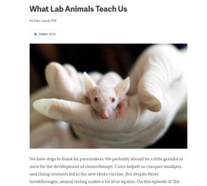 What Lab Animals Teach Us