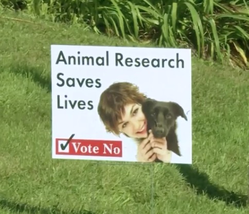 Screen Shot 2018-10-24 at 6.25.44 AM