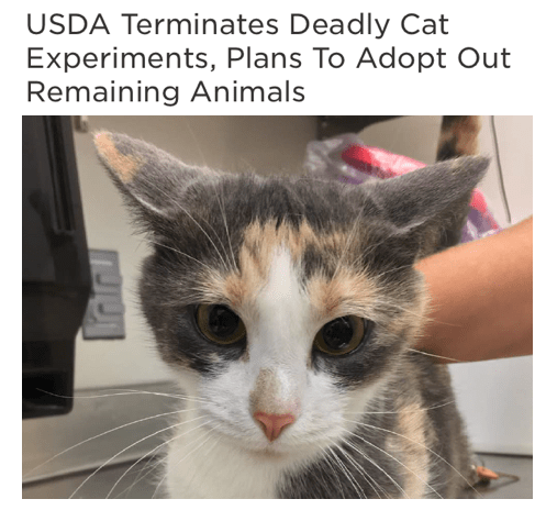 Screen Shot 2019-04-11 at 2.49.08 PM